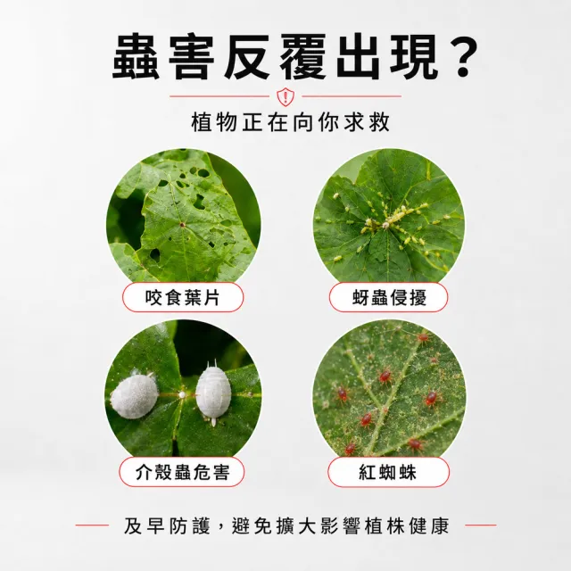 【福來朗】植物驅蟲辣椒液500ml_5入組｜天然驅蟲｜辣椒水｜園藝｜花卉｜蔬菜｜果樹｜蚜蟲｜介殼蟲｜毛毛蟲