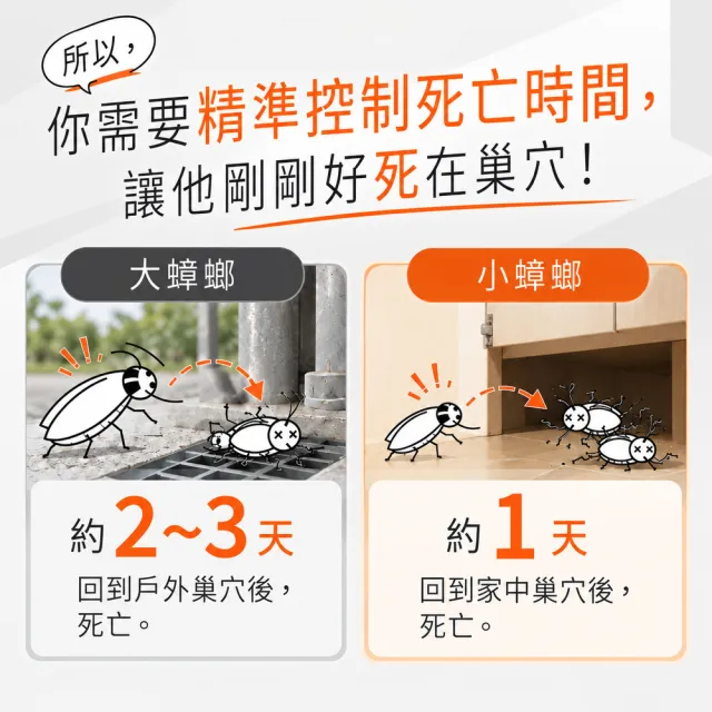 【福來朗】強效小蟑螂專用凝膠_2入組｜蟑螂誘餌｜小蟑螂｜蟑螂藥｜高效誘殺｜60天持效｜居家除蟑