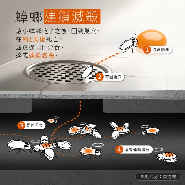 【福來朗】強效小蟑螂專用凝膠_2入組｜蟑螂誘餌｜小蟑螂｜蟑螂藥｜高效誘殺｜60天持效｜居家除蟑