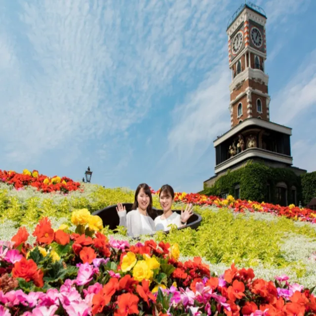 【喜鴻假期】★北海道感蟹季5日★升等一晚國際品牌、旭山動物園、忍者魁花秀、敘敘苑燒肉、小樽人力車
