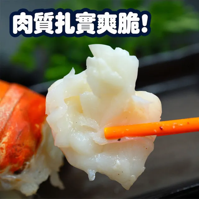 【築地一番鮮】8盎司-龍蝦身 4尾(220g/尾)/去頭殼薄(生凍)龍蝦尾