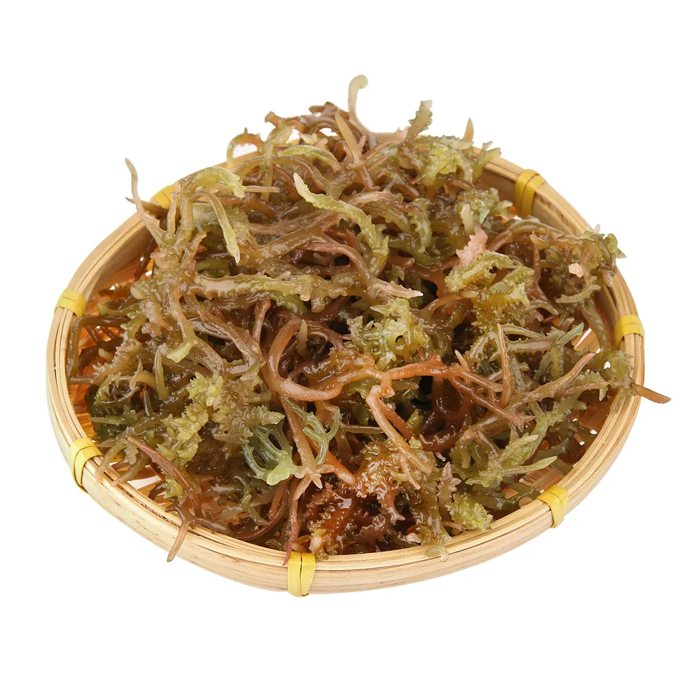 【愛上海鮮】澎湖野生珊瑚草6包(150g±10%/包 冷凍蔬菜)