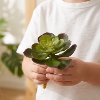 【HUGO DECO 榆果傢飾】特級擬真圓瓣多肉石蓮 單枝花材 (進口特級擬真花材)