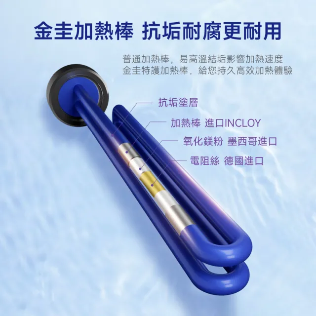 【A.O.Smith】AO史密斯 美國百年品牌 EES-30D 戶外型 落地電子式電熱水器 含控制面板 (30加侖)