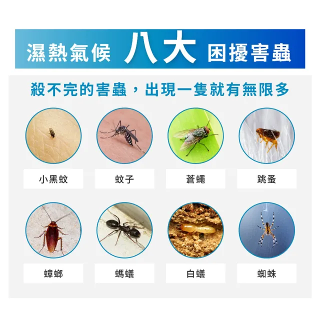 【福來朗】水性除蟲噴霧500ml_3入組 (噴頭500ml*2+補充瓶500ml*1)