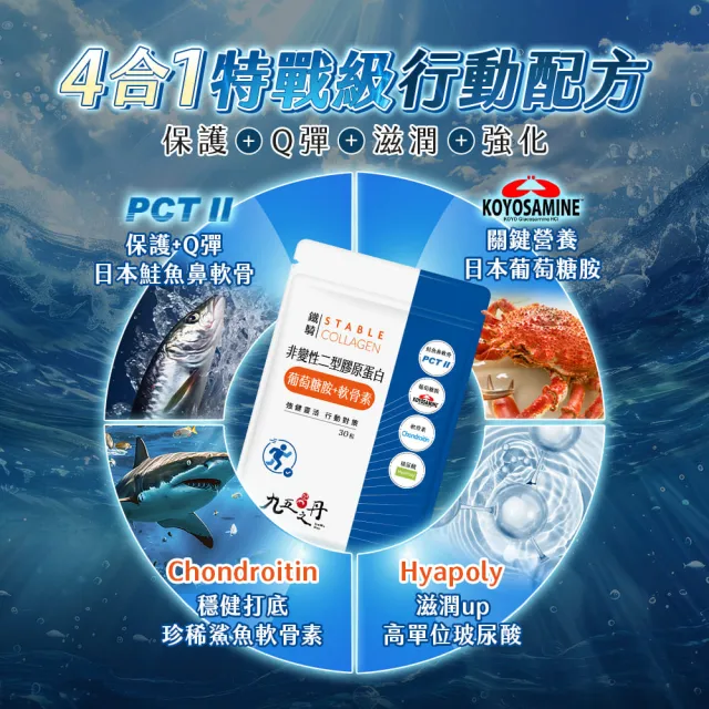 【JIU WU DAN 九五之丹】鐵騎 非變性二型膠原蛋白+葡萄糖胺+軟骨素 4包共120粒(世界品質金獎PCT-II)