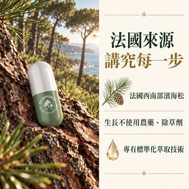 【GNC 健安喜】松樹皮萃取物50膠囊食品120粒/瓶X3瓶 (養顏美容/青春美麗/凍齡美姬)