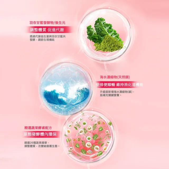 【宏碁健康】VitaBeauty玫瑰益纖元次世代益生菌Plus+ 20包/盒(羽衣甘藍發酵物/後生元/26種蔬果酵素/天然鎂)