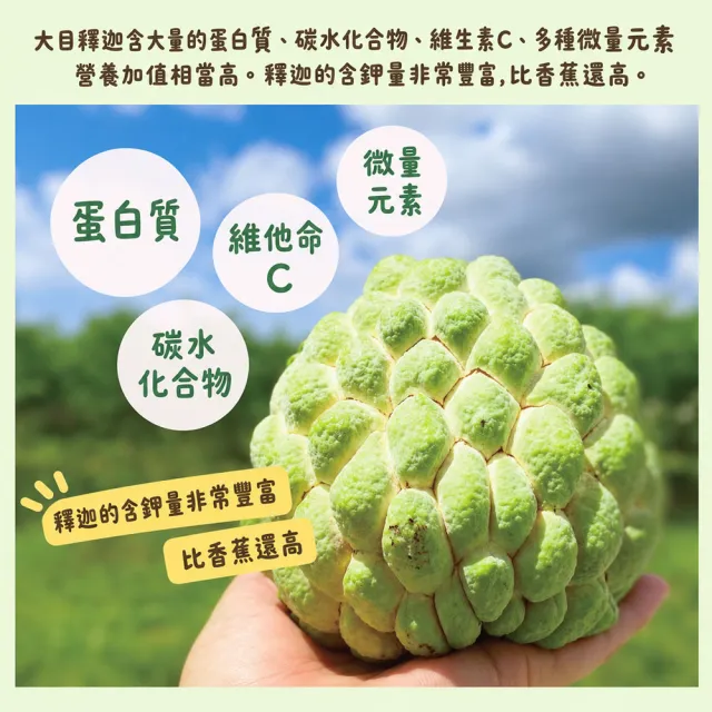 【初品果】台東太麻里大目釋迦禮盒含箱5斤6-7顆x2盒(送禮/禮盒/水果禮盒)