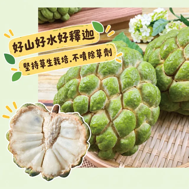 【初品果】台東太麻里大目釋迦禮盒含箱5斤5-6顆x4盒(送禮/禮盒/水果禮盒)
