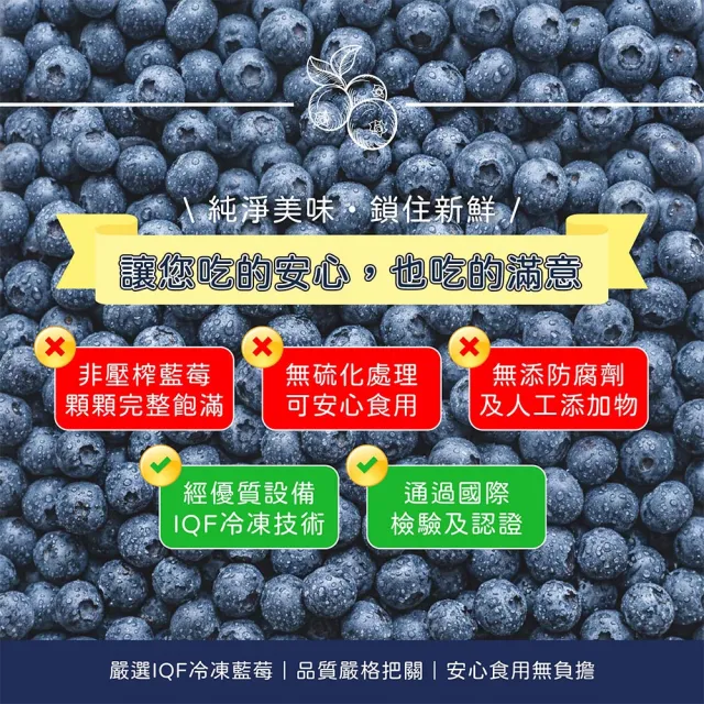 【阿財伯】冷凍藍莓 夾鏈袋裝 (1000g/包×1包)