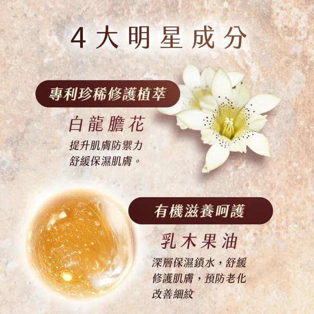 【AMIINO 安美諾 】珍珠淨白身體乳120ml 無花果二入(美白乳液/保濕鎖水/身體保養)