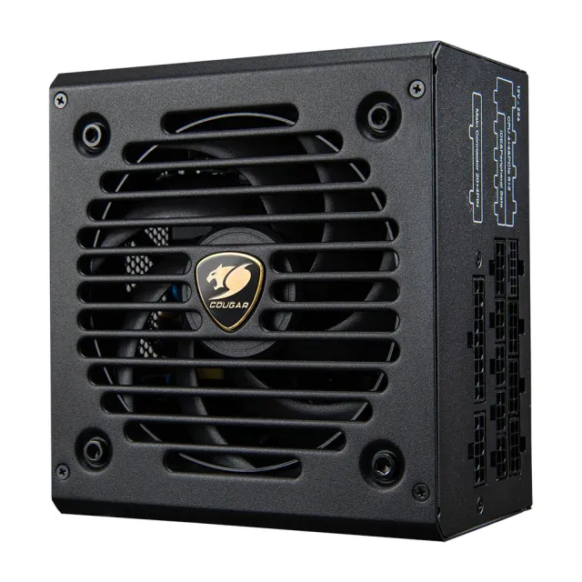 【COUGAR 美洲獅】金牌 GR 750W電源供應器(ATX3.1/全模組/5年保固)