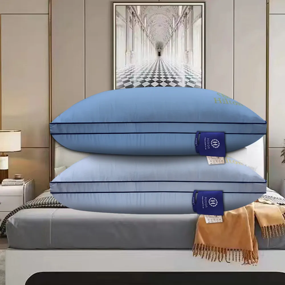 【Hilton 希爾頓】皇家頂級銀離子100支紗萊賽爾獨立筒枕/二入組/二色任選(枕芯x2+枕套x2/萊賽爾枕/枕頭)