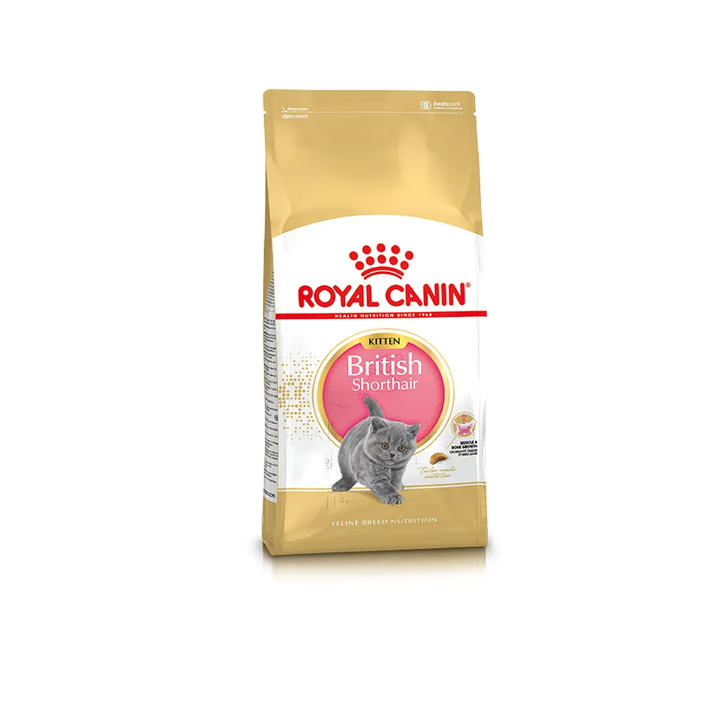 【ROYAL 法國皇家】英國短毛幼貓專用飼料 BSK38 2KG(貓乾糧 貓飼料 免疫力 腸胃)