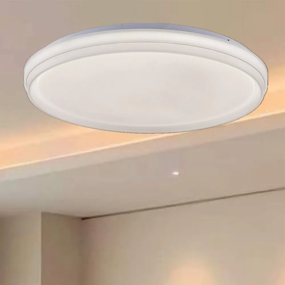 簡約透光柔暖吸頂燈(吸頂燈/客廳燈/房間燈/臥室燈/餐桌燈/燈飾燈具000-746-50w)