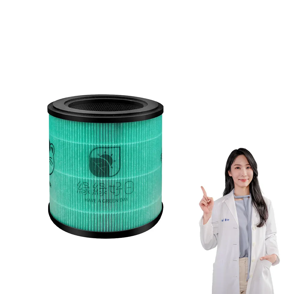 【Have Green Days 綠綠好日】適用 Philips 飛利浦 AC0819 AC0819/80 AC0850 HEPA抗菌濾芯+活性碳(濾網)