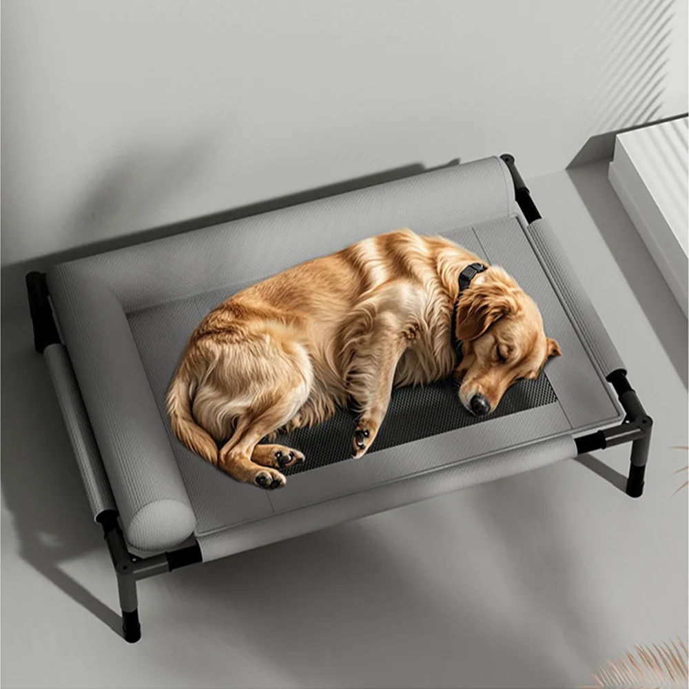 狗窩 狗狗行軍床 中大小型犬狗床 寵物離地床 寵物床 （四季通用 夏季可拆洗 66*45*18cm） LWJ