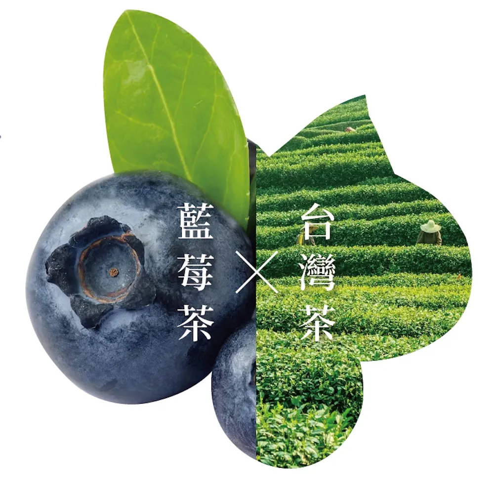 【新寶順】藍莓冰茶/快速冷泡果茶任選兩入組(蘋果輕茶/蜜桃輕茶/藍莓冰茶/紅果冰茶)