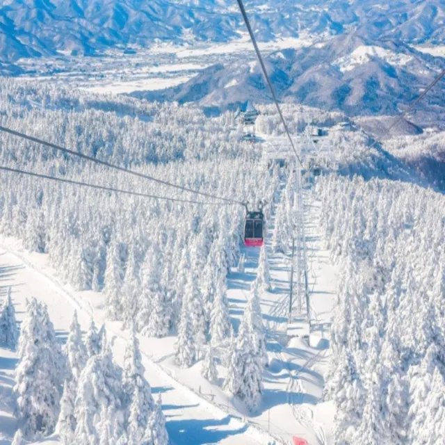 【喜鴻假期】★藏王樹冰．雪國東北６日★雙點進出、暖爐列車、雪樂園、銀山溫泉、猊鼻溪暖桌