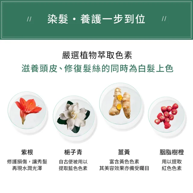 【Sastty】3入組-利尻昆布白髮用泡沫染髮露200ml(3色任選/植萃成分/上色均勻不留白)