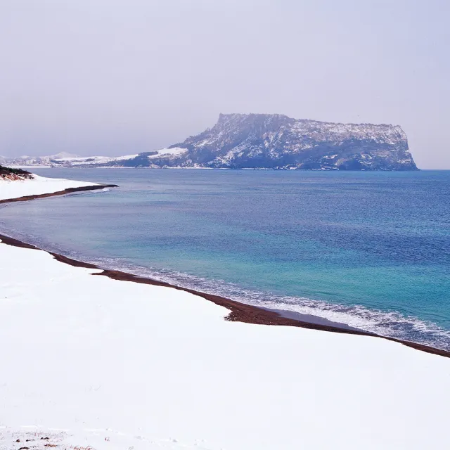 寒假春節-威風濟州冬雪五日-漢拏山賞雪、島中島牛島、森林小火車、羊駝體驗牧場(午去午回)