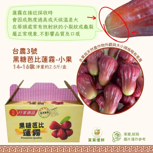 【賞菓優鮮】六龜荖濃溪畔黑糖芭比蓮霧精美小果禮盒1盒(14-16粒/2.5斤)(蓮霧界LV美譽_產地現採直送)