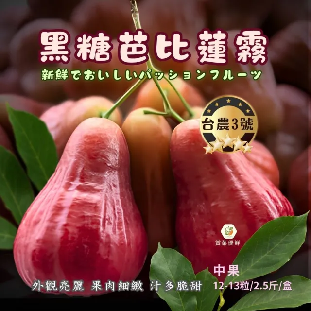 【賞菓優鮮】六龜荖濃溪畔黑糖芭比蓮霧精美中果禮盒1盒(12-13粒/2.5斤)(蓮霧界LV美譽_產地現採直送)