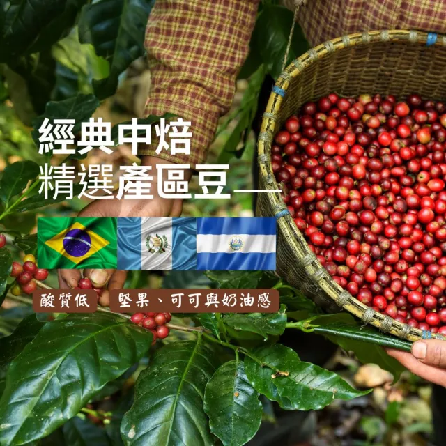 【Cozyhouse 暖窩】經典中焙豆 精選產區咖啡豆 6入組 半磅x6(227g/包 巴西、尼加拉瓜、瓜地馬拉)