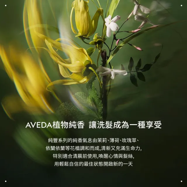 【AVEDA】純豐洗髮精 1000ml