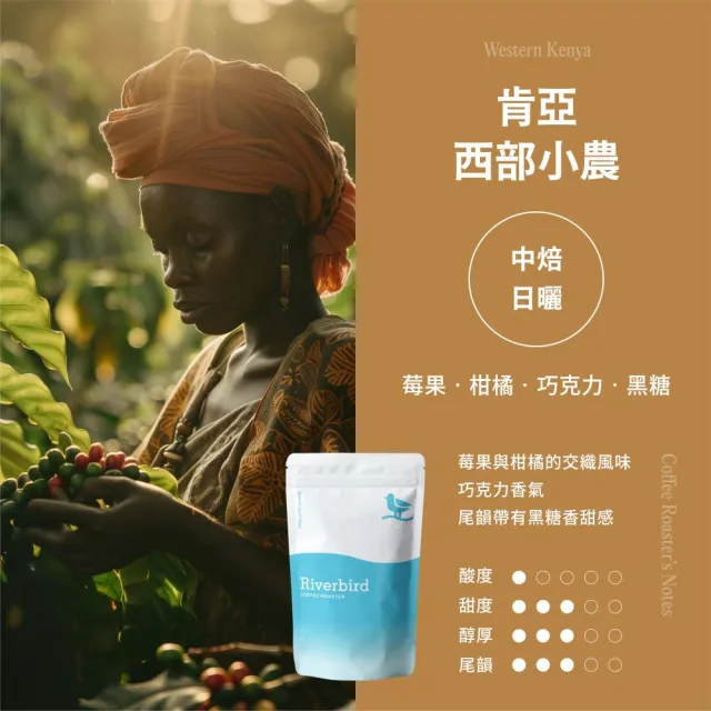 【江鳥咖啡】頂級莊園精品咖啡2磅綜合４袋組(225g/袋;皇后莊園/微微特南果/西部小農/莉姆小農;新鮮烘焙)