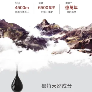 喜來芝精萃