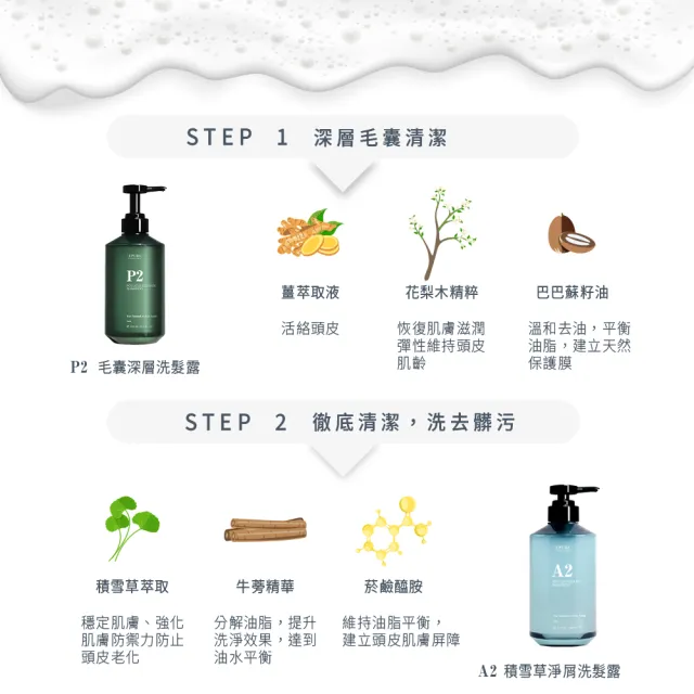 【EPURE】精準調理淨屑組 2入(P2深層洗髮露500ml+A2淨屑洗髮露500ml)(油性混和肌/強化防禦/深層清潔)