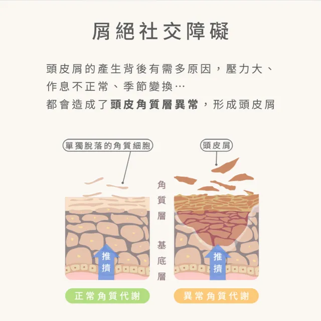 【EPURE】A2 積雪草淨屑洗髮露500ml (油性混和肌/抗頭皮屑/強化防禦)
