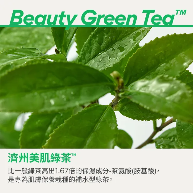 【innisfree】綠茶玻尿酸滾珠眼部精華 10ml(冰珠眼霜/保濕/改善泡泡眼)