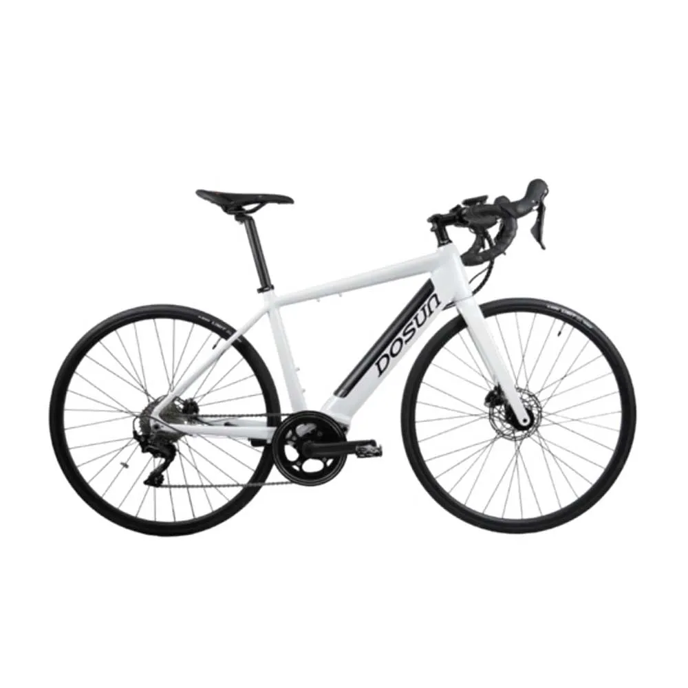 【DOSUN】電動輔助自行車/腳踏車 RT100 43CM 油壓碟 白_送安裝(車麗屋)