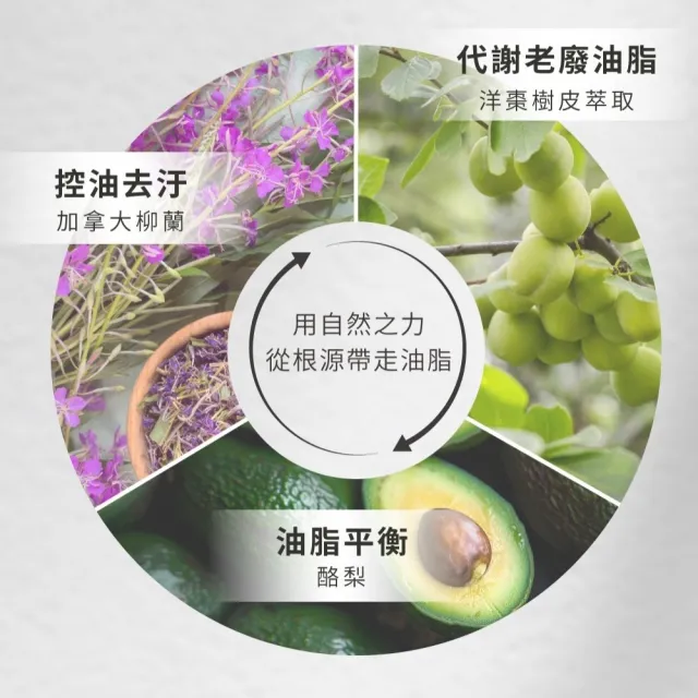 【THE TRUE 本真】癒創木洗髮水慕斯480ml+補充包800ml(官方直營 瓶裝+補充包 泡沫壓頭 頭皮油屑調理)
