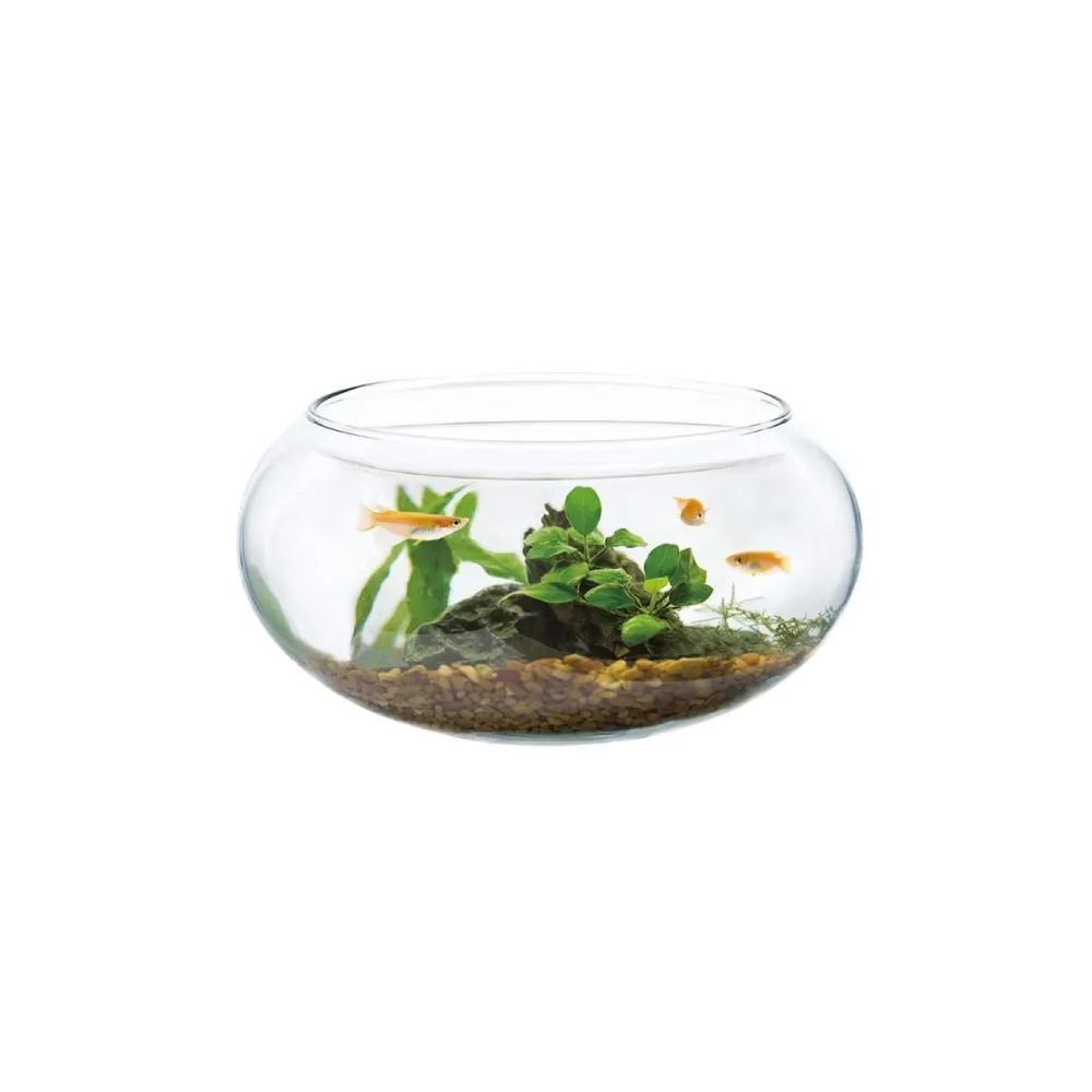 【NISSO 尼索】Table AQUA Flat M 景觀生態套缸組(桌上型 魚缸 擺飾)