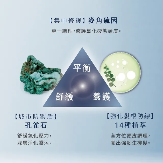 【RENATA 蕾娜塔】源生潔髮露750ml (官方直營 外泌體 修護 養髮 髮根強韌 調理頭皮 平衡修護)