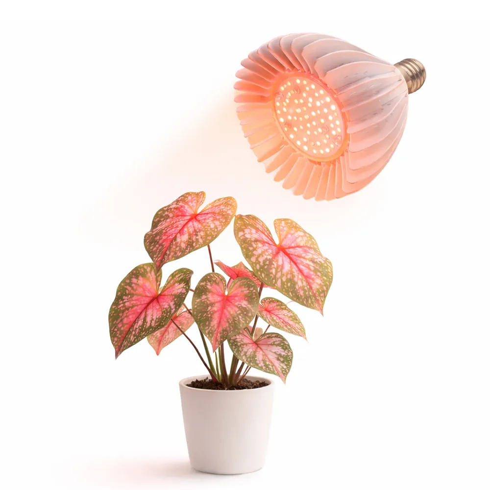 【JIUNPEY 君沛】40W 加強型光譜E27植物燈泡(植物生長燈)