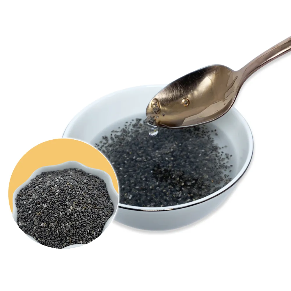 【蔘大王】奇亞籽（600gX2）(膳食纖維 Omega-3 百搭解饞 增加飽足感 奇亞子 歐鼠尾草種子)