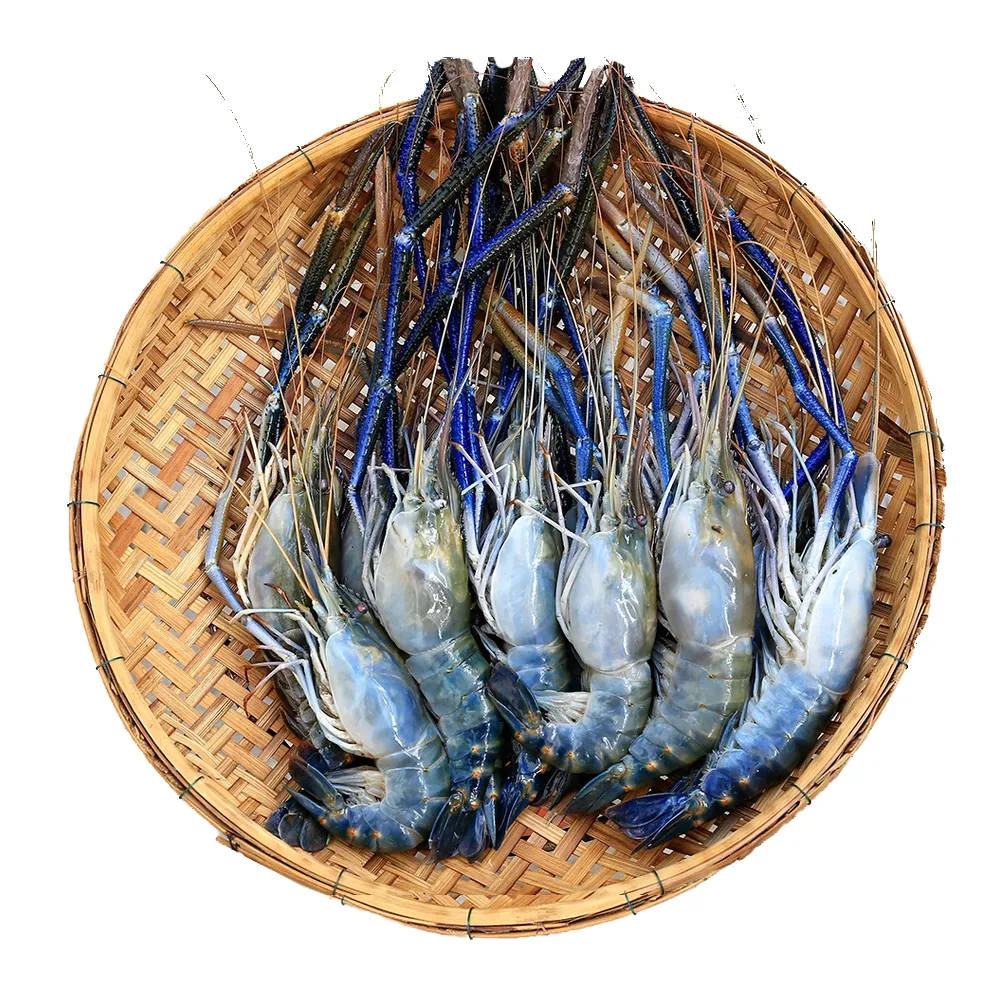【好神】鮮凍泰國蝦3斤組(600g/16-17尾/盒/中秋烤肉/火鍋/燒烤)