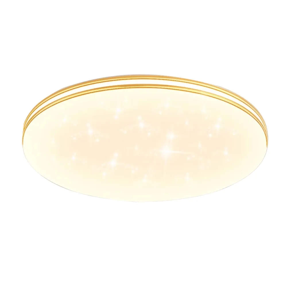 【XINGMU 興沐】APP滿天星吸頂燈40公分led客廳燈(節能環保/節能環保/無極調光)