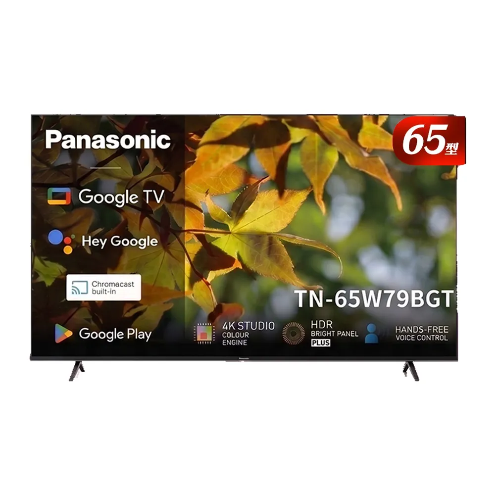 【Panasonic 國際牌】家電快配★65型 4K HDR GoogleTV 智慧聯網液晶顯示器(TN-65W79BGT)