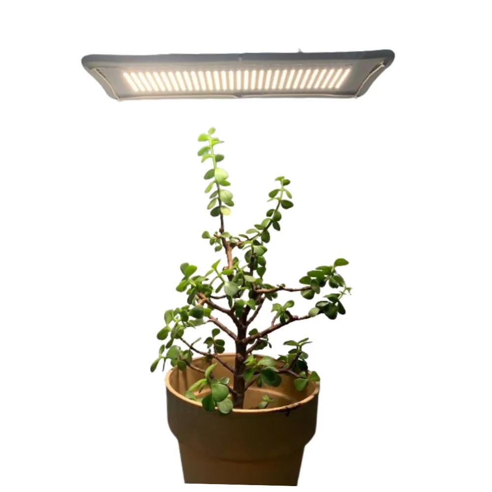 【JIUNPEY 君沛】LED20W薄型植物燈版 20瓦吊掛式植物燈 仿日照陽光植物燈全光譜 高演色(植物生長燈 植物燈)