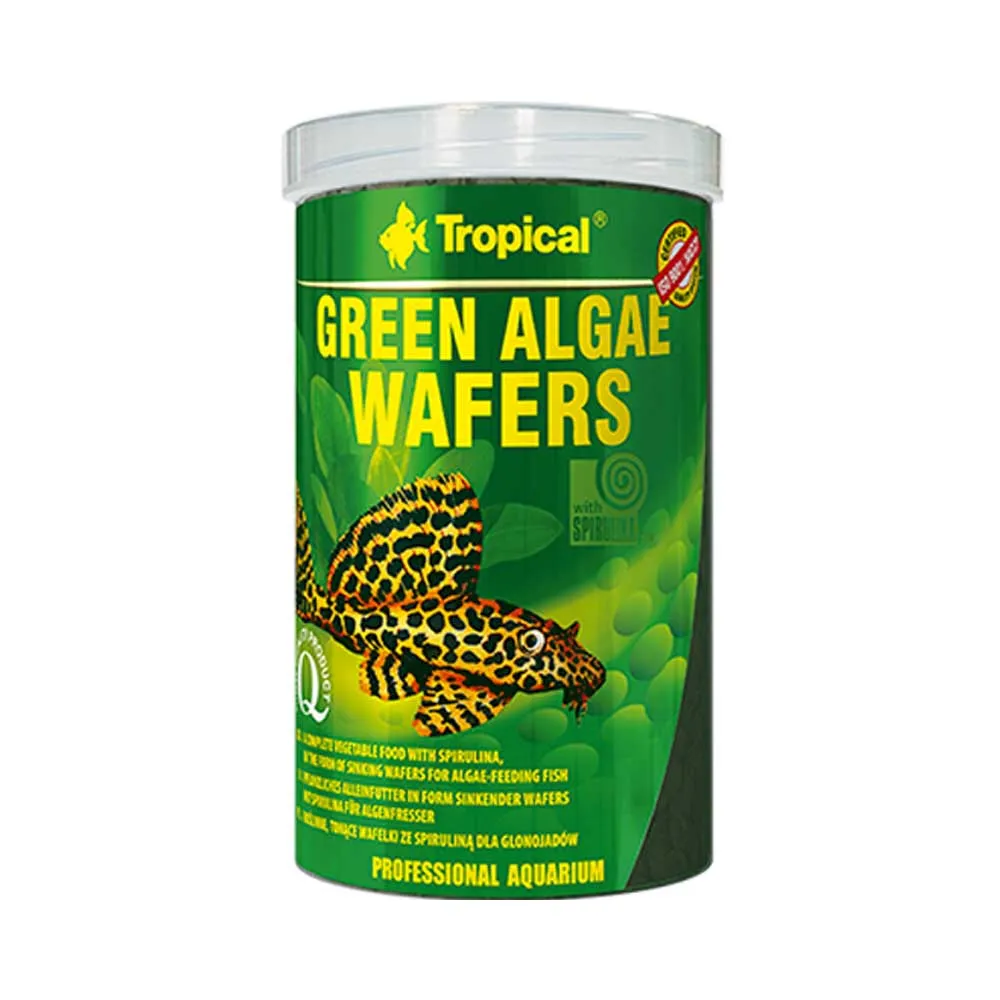 【Tropical】異形底棲魚完美全餐(1000ml)
