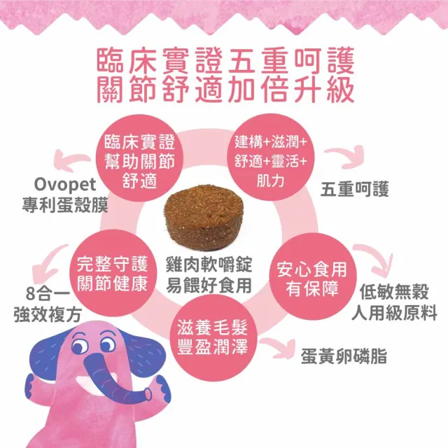 【IN-Plus】犬用 MSM關節保健軟嚼錠 60顆 (狗關節 葡萄糖胺 綠貽貝 BCAA)