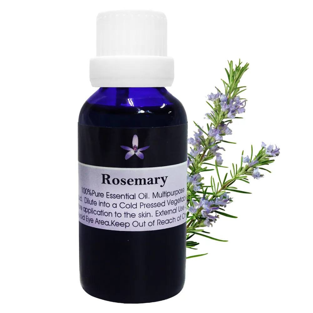 【BodyTemple 身體殿堂】迷迭香/薑/檸檬草芳療精油30ml(三種精油30ml任選一瓶)