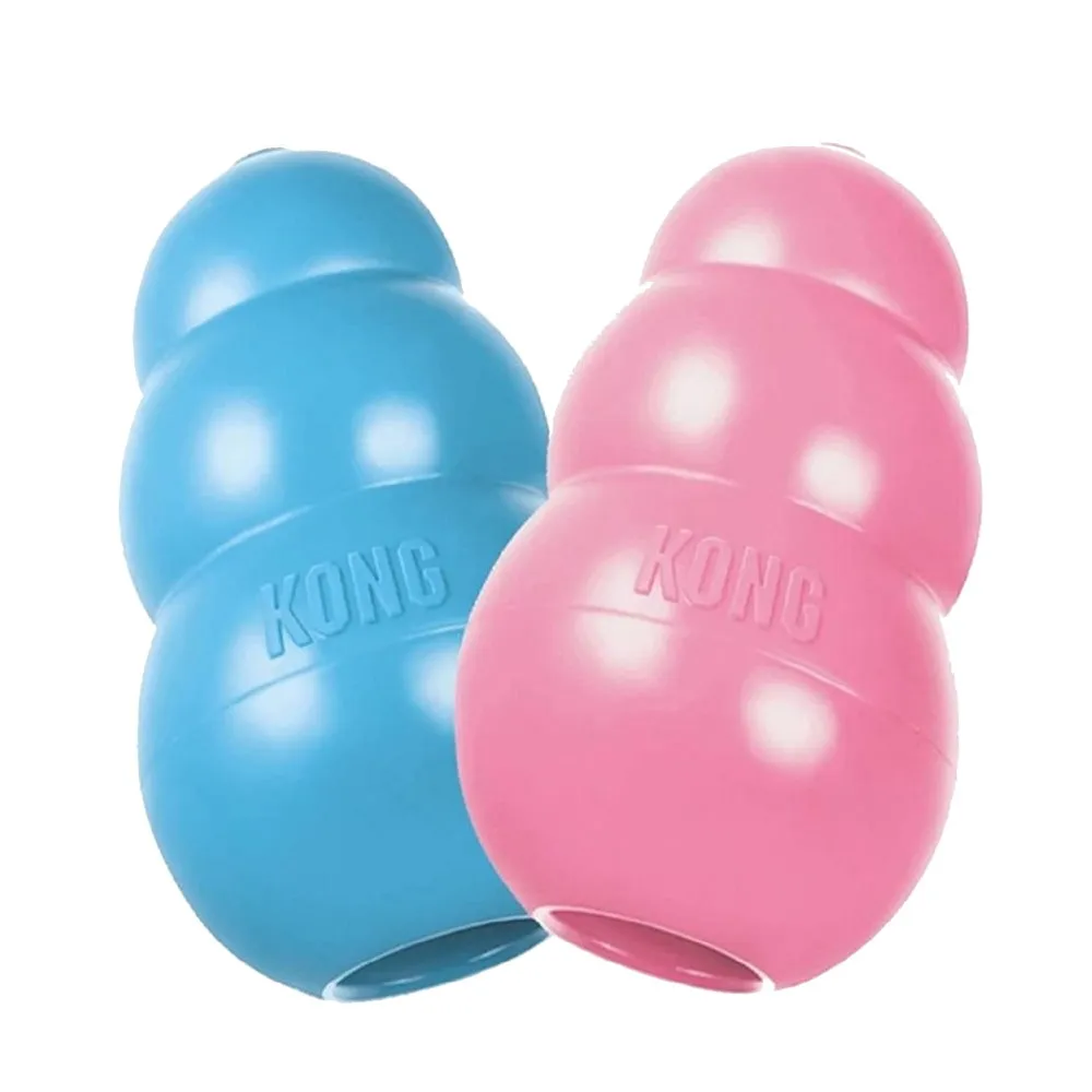 【KONG】Puppy / 幼犬訓練玩具-藍色/粉色 L（KP1）(寵物玩具/不挑色隨機出貨)
