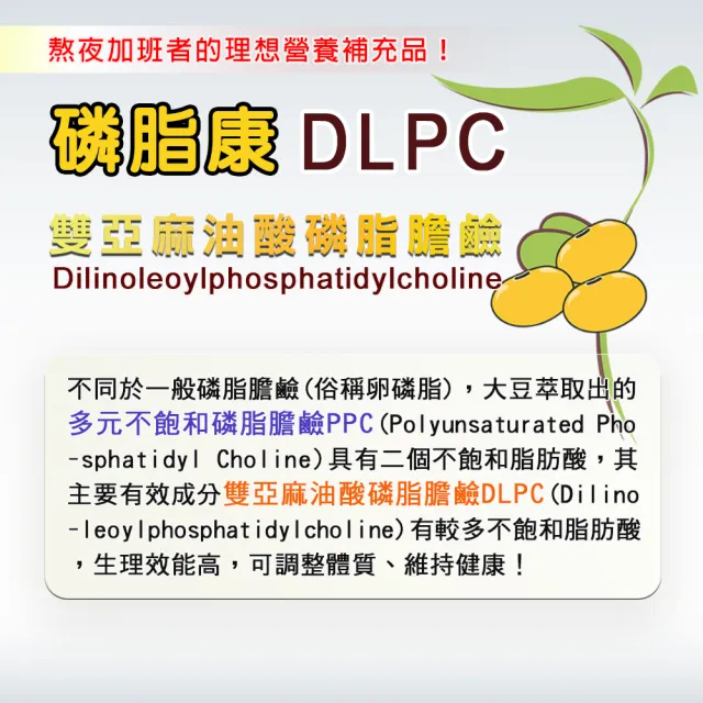 【磷脂康】多元不飽和磷脂膽鹼DLPC熬夜1入組(共60顆)